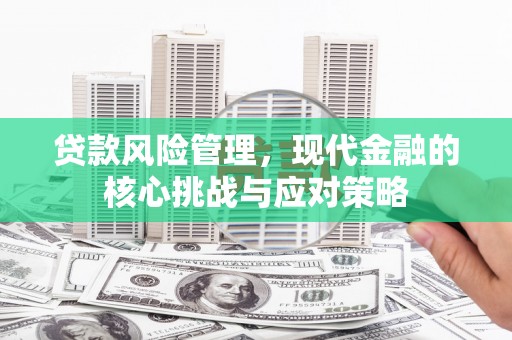 萨嘎贷款风险管理，现代金融的核心挑战与应对策略