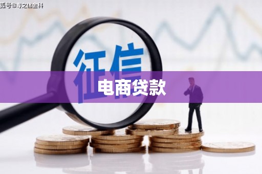 萨嘎电商贷款