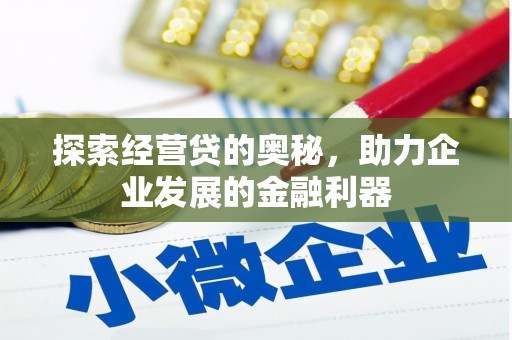 萨嘎探索经营贷的奥秘，助力企业发展的金融利器