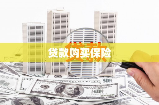 萨嘎贷款购买保险