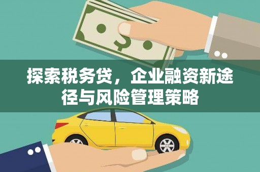 萨嘎探索税务贷，企业融资新途径与风险管理策略
