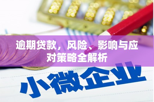 萨嘎逾期贷款，风险、影响与应对策略全解析
