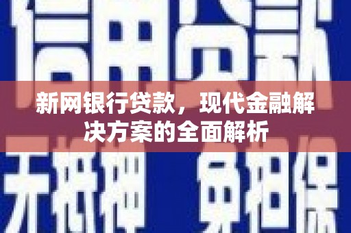 萨嘎新网银行贷款，现代金融解决方案的全面解析