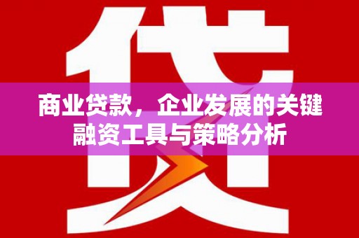 萨嘎商业贷款，企业发展的关键融资工具与策略分析