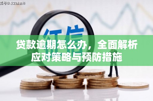 萨嘎贷款逾期怎么办，全面解析应对策略与预防措施