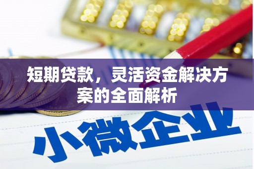 萨嘎短期贷款，灵活资金解决方案的全面解析