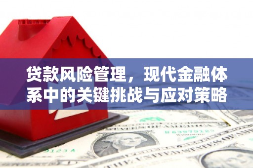 萨嘎贷款风险管理，现代金融体系中的关键挑战与应对策略