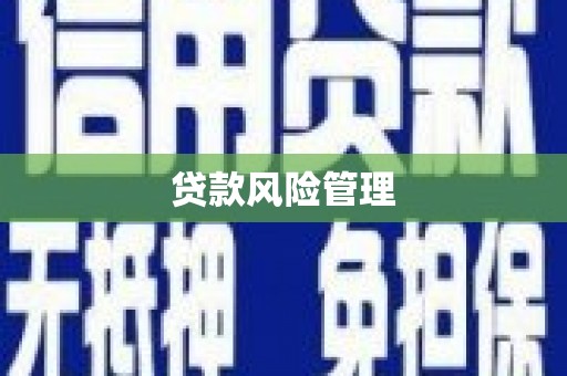 萨嘎贷款风险管理