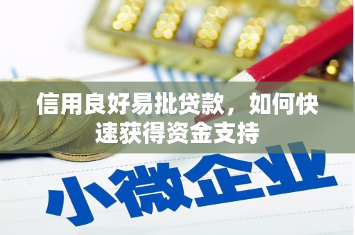 萨嘎信用良好易批贷款，如何快速获得资金支持