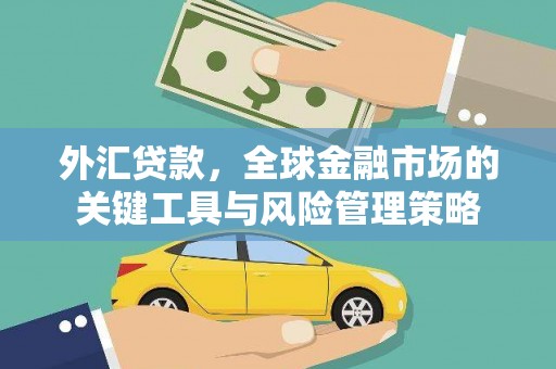 萨嘎外汇贷款，全球金融市场的关键工具与风险管理策略