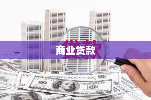 萨嘎商业贷款