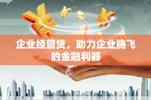 萨嘎企业经营贷，助力企业腾飞的金融利器