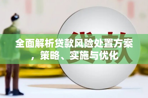萨嘎全面解析贷款风险处置方案，策略、实施与优化