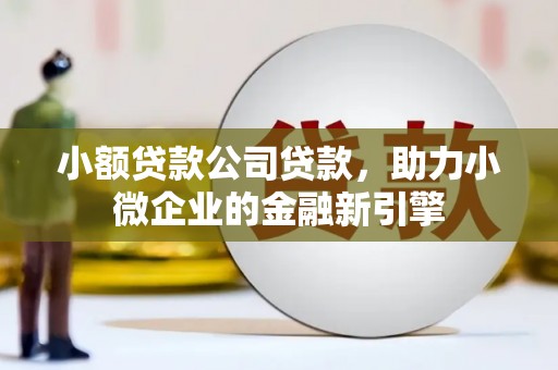 萨嘎小额贷款公司贷款，助力小微企业的金融新引擎