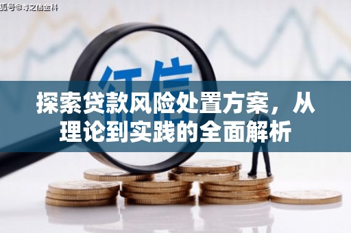 萨嘎探索贷款风险处置方案，从理论到实践的全面解析