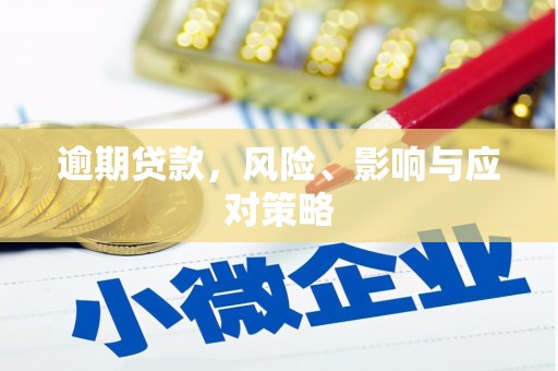 萨嘎逾期贷款，风险、影响与应对策略