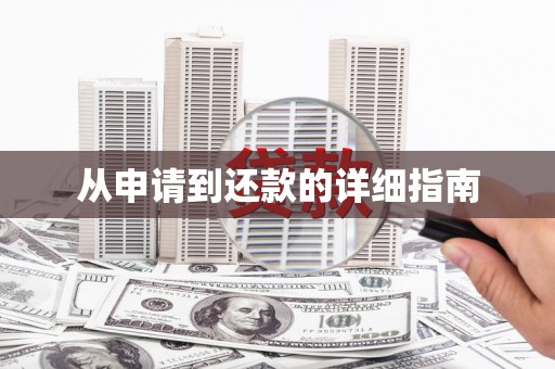 萨嘎从申请到还款的详细指南