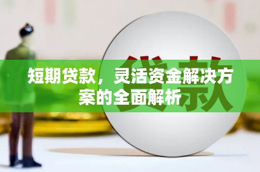 萨嘎短期贷款，灵活资金解决方案的全面解析