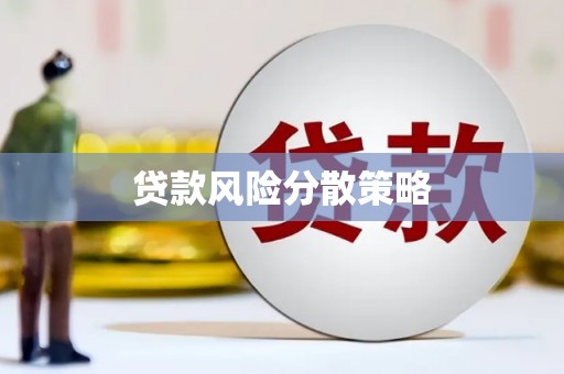 萨嘎贷款风险分散策略