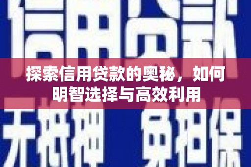 萨嘎探索信用贷款的奥秘，如何明智选择与高效利用