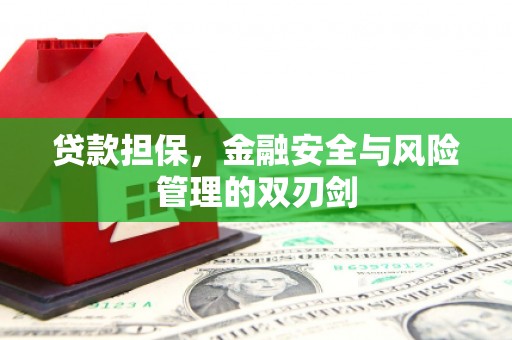 萨嘎贷款担保，金融安全与风险管理的双刃剑