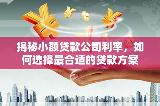 萨嘎揭秘小额贷款公司利率，如何选择最合适的贷款方案