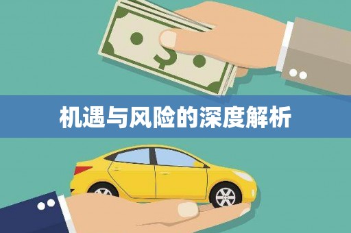 萨嘎机遇与风险的深度解析