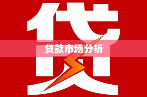 萨嘎贷款市场分析