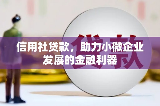 萨嘎信用社贷款，助力小微企业发展的金融利器