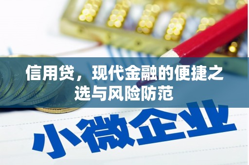 萨嘎信用贷，现代金融的便捷之选与风险防范