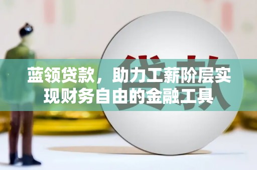 萨嘎蓝领贷款，助力工薪阶层实现财务自由的金融工具