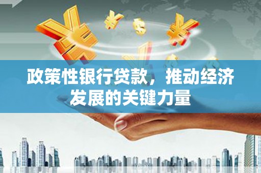 萨嘎政策性银行贷款，推动经济发展的关键力量