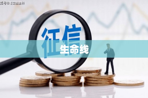 萨嘎生命线