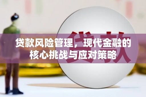 萨嘎贷款风险管理，现代金融的核心挑战与应对策略