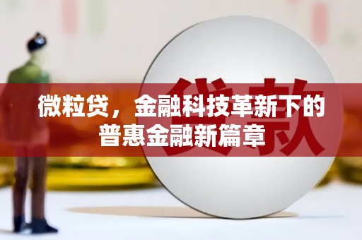 萨嘎微粒贷，金融科技革新下的普惠金融新篇章