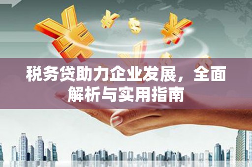 萨嘎税务贷助力企业发展，全面解析与实用指南
