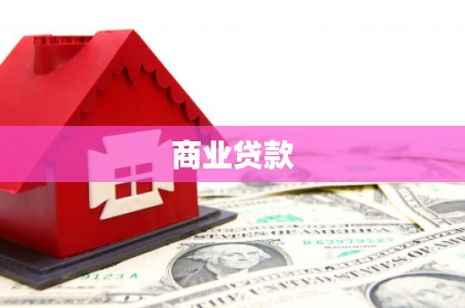萨嘎商业贷款