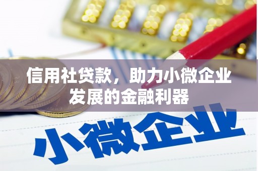 萨嘎信用社贷款，助力小微企业发展的金融利器