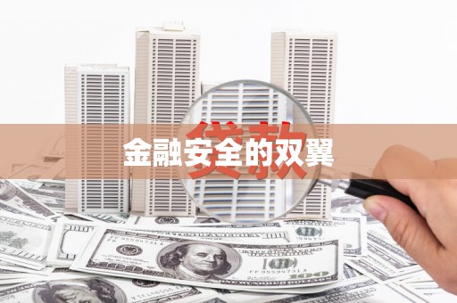 萨嘎金融安全的双翼