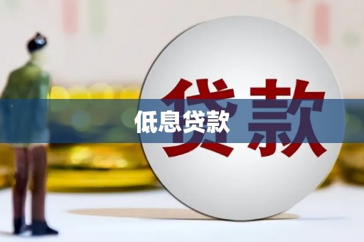 萨嘎低息贷款