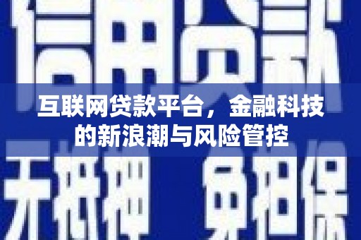 萨嘎互联网贷款平台，金融科技的新浪潮与风险管控