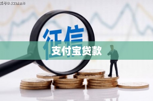 萨嘎支付宝贷款