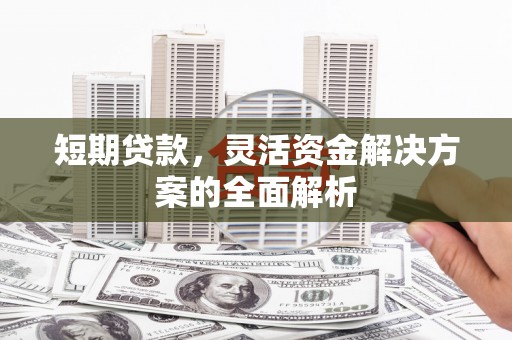 萨嘎短期贷款，灵活资金解决方案的全面解析