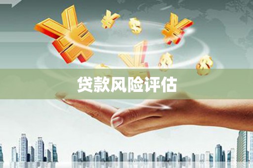 萨嘎贷款风险评估