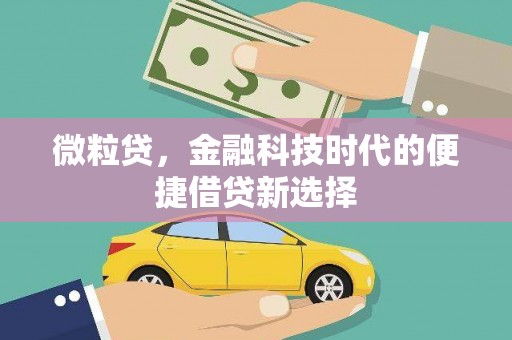 萨嘎微粒贷，金融科技时代的便捷借贷新选择