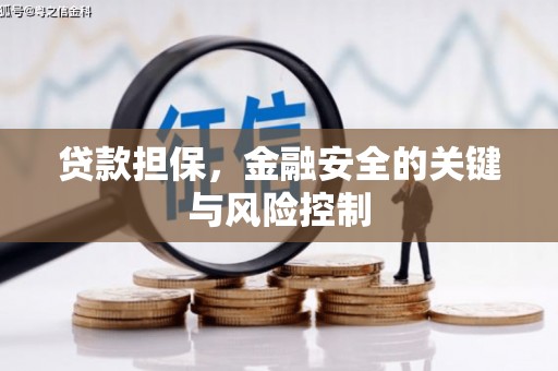 萨嘎贷款担保，金融安全的关键与风险控制