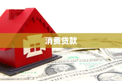 萨嘎消费贷款