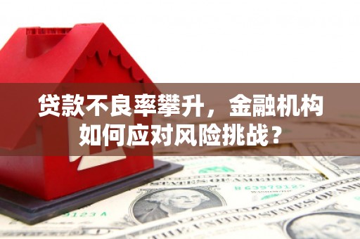 萨嘎贷款不良率攀升，金融机构如何应对风险挑战？