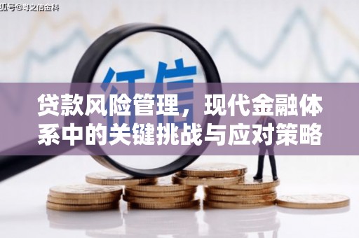 萨嘎贷款风险管理，现代金融体系中的关键挑战与应对策略