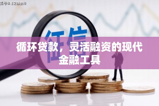 萨嘎循环贷款，灵活融资的现代金融工具